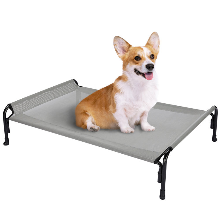 Elevated cots hot sale for dogs